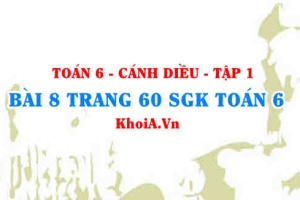 Bài 8 trang 60 SGK Toán 6 tập 1 Cánh Diều